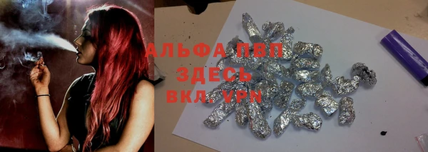 СК Аркадак
