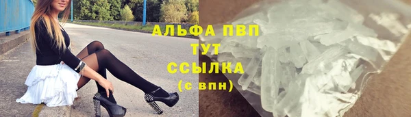 СК Аркадак